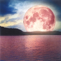 A Cloud Which Is Not in the Sky Floating Through Water A Cloud Which Is Not in the Sky Floating Through Water